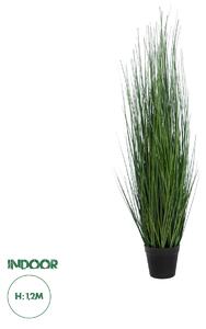 GloboStar® Artificial Garden MISCANTHUS SINENSIS 20116 Τεχνητό Διακοσμητικό Φυτό Μίσχανθος Υ120cm