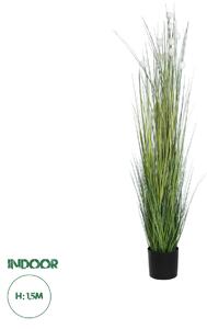 GloboStar® Artificial Garden LAGURUS GRASS 20111 Τεχνητό Διακοσμητικό Φυτό Λαγοουρά Υ150cm