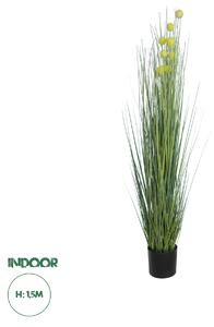 GloboStar® Artificial Garden CRASPEDIA GRASS 20112 Τεχνητό Διακοσμητικό Φυτό Κρασπέδια Υ150cm