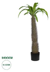 Artificial Garden PACHYPODIUM LAMEREI PALM TREE 20129 Τεχνητό Διακοσμητικό Φυτό Φοίνικας της Μαγαδασκάρης Υ105cm