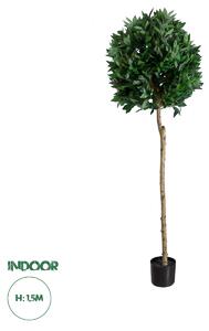 GloboStar® Artificial Garden LAUREL 20085 Τεχνητό Διακοσμητικό Φυτό Δάφνη Υ150cm