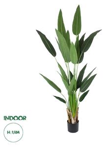 GloboStar® Artificial Garden STRELITZIA 20030 Τεχνητό Διακοσμητικό Φυτό Στρελίτσια - Πουλί του Παραδείσου Υ180cm