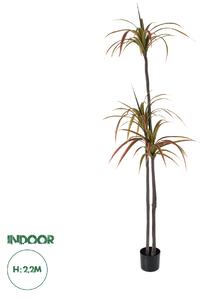 GloboStar® Artificial Garden DRAGON BLOOD TREE 20371 - Τεχνητό Διακοσμητικό Φυτό Δράκαινα Υ220cm