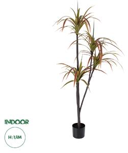 GloboStar® Artificial Garden DRAGON BLOOD TREE 20372 - Τεχνητό Διακοσμητικό Φυτό Δράκαινα Υ180cm