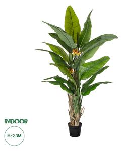 GloboStar® Artificial Garden BANANA STRELITZIA REGINAE 20381 - Τεχνητό Διακοσμητικό Φυτό Μπανανιά - Στρελίτσια - Πουλί του Παραδείσου Υ230cm