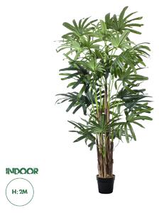 GloboStar® Artificial Garden BROADLEAF LADY PALM TREE 20385 Τεχνητό Διακοσμητικό Φυτό Πλατύφυλλος Φοίνικας Μπαμπού Υ200cm