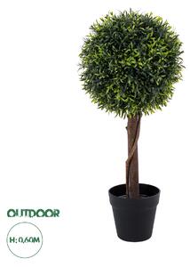 GloboStar® Artificial Garden MYRTUS 20398 Τεχνητό Διακοσμητικό Φυτό Φίκος Μυρτιά Υ60cm