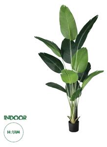 GloboStar® Artificial Garden STRELITZIA 20026 Τεχνητό Διακοσμητικό Φυτό Στρελίτσια - Πουλί του Παραδείσου Υ180cm