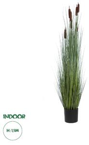 Artificial Garden TYPHA ANGUSTIFOLIA GRASS 20113 Τεχνητό Διακοσμητικό Φυτό Γρασίδι της Τύφας Υ150cm