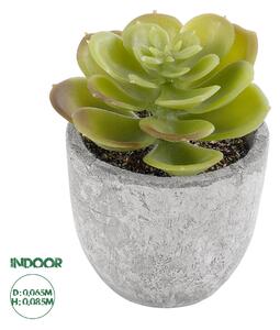 Artificial Garden SUCCULENT SEDEVERIA 21021 Διακοσμητικό Φυτό Παχύφυτο Σεντεβέρια Υ8.5cm