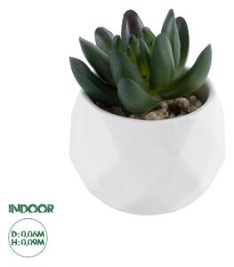 GloboStar® Artificial Garden SUCCULENT CRASSULA 20979 Διακοσμητικό Φυτό Παχύφυτο Κράσουλα Υ9cm