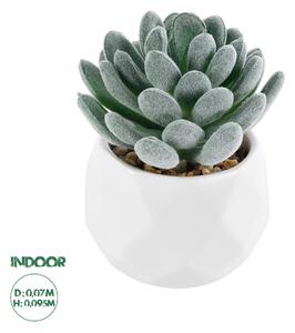 GloboStar® Artificial Garden SUCCULENT SEDEVERIA 21001 Διακοσμητικό Φυτό Παχύφυτο Σεντεβέρια Υ9.5cm