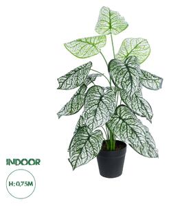 GloboStar® Artificial Garden CALADIUM 20908 Διακοσμητικό Φυτό Καλάδια Υ75cm