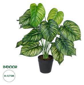 GloboStar® Artificial Garden CALATHEA PLANT 20912 Διακοσμητικό Φυτό Καλαθέα Φ55 x Υ75cm