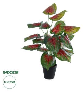 GloboStar® Artificial Garden CALADIUM MIX 20911 Διακοσμητικό Φυτό Καλάντιουμ Υ75cm