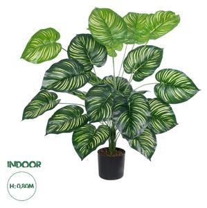 GloboStar® Artificial Garden CALATHEA PLANT 20922 Διακοσμητικό Φυτό Καλαθέα Φ70 x Υ80cm