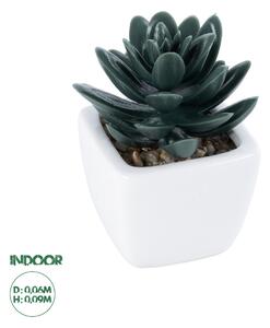 GloboStar® Artificial Garden SUCCULENT SEDEVERIA PLANT 20977 Διακοσμητικό Φυτό Παχύφυτο Σεντεβέρια Φ6 x Υ9cm