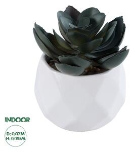 GloboStar® Artificial Garden SUCCULENT ECHEVERIA 20990 Διακοσμητικό Φυτό Παχύφυτο Εχεβέρια Υ8.5cm