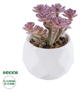 Artificial Garden SUCCULENT SEDUM 20988 Διακοσμητικό Φυτό Παχύφυτο Σέδο Υ10cm