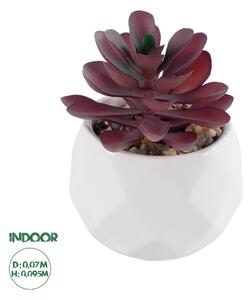 GloboStar® Artificial Garden SUCCULENT CRASSULA 21004 Διακοσμητικό Φυτό Παχύφυτο Κράσουλα Υ9.5cm