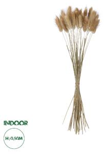 GloboStar® Artificial Garden REAL DRIED BEIGE WHEAT BUNCH 21219 Αποξηραμένο Διακοσμητικό Μπουκέτο Σιταριού Y50cm