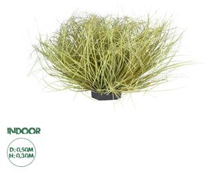 GloboStar® Artificial Garden GRASS BUSH PLANT 21166 Τεχνητό Διακοσμητικό Φυτό Θάμνος Grass Π50cm Y30cm