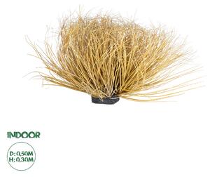 GloboStar® Artificial Garden GRASS BUSH PLANT 21165 Τεχνητό Διακοσμητικό Φυτό Θάμνος Grass Π50cm Y30cm