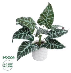 GloboStar® Artificial Garden ALOCASIA 20886 Τεχνητό Διακοσμητικό Φυτό Αλοκασία Φ38 x Υ33cm