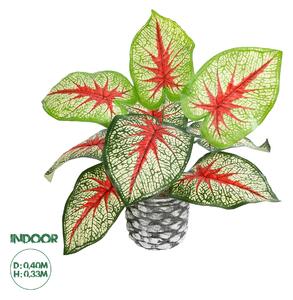 GloboStar® Artificial Garden CALADIUM 20891 Τεχνητό Διακοσμητικό Φυτό Τροπικό Φυτό Φ40 x Υ33cm