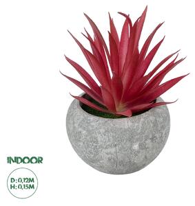 GloboStar® Artificial Garden AIR PLANT TILLANDSIA POTTED PLANT 21035 Διακοσμητικό Φυτό Τιλάντσια Φ12 x Υ15cm