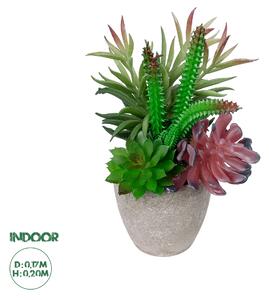 Artificial Garden SUCCULENT VARIUS PLANT POTTED 21039 Διακοσμητικό Φυτό Μίξ Μ17 x Υ20cm