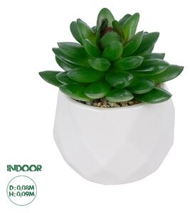 GloboStar® Artificial Garden SUCCULENT SEDEVERIA POTTED PLANT 21002 Διακοσμητικό Φυτό Σεδεβέρια Φ8 x Υ9cm