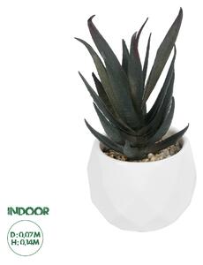 GloboStar® Artificial Garden SUCCULENT ALOE POTTED PLANT 20978 Διακοσμητικό Φυτό Αλόης Φ7 x Υ14cm