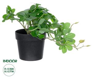 GloboStar® Artificial Garden SCHEFFLERA PLANT 20954 Διακοσμητικό Φυτό Σεφλέρα Φ18 x Υ17cm