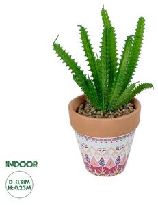 GloboStar® Artificial Garden SUCCULENT EUPHORBIA POTTED PLANT 21052 Διακοσμητικό Φυτό Ευφορβία Φ18 x Υ23cm