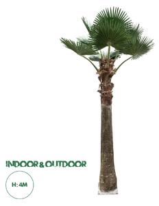 GloboStar® Artificial Garden PLANT PALM TREE 21055 Διακοσμητικό Δέντρο Φοίνικα Φ240 x Υ400cm