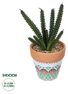 GloboStar® Artificial Garden SUCCULENT EUPHORBIA POTTED PLANT 21045 Διακοσμητικό Φυτό Ευφορβία Φ11 x Υ19cm