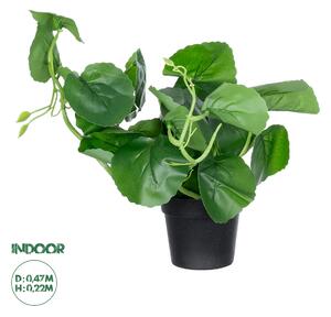 GloboStar® Artificial Garden BELL PLANT 20957 Διακοσμητικό Φυτό Σεφλέρα Φ47 x Υ22cm