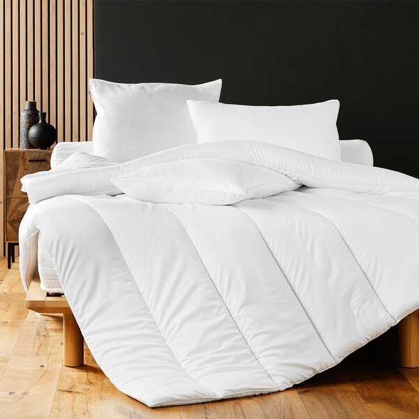 Μαξιλάρι Γεμίσματος Καραμέλα (Φ15x160) L-C Comfort 1644988