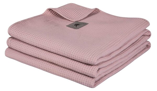 Κουβερλί King Size (240x250) Greenwich Polo Club Essential Dots 3976 Nude
