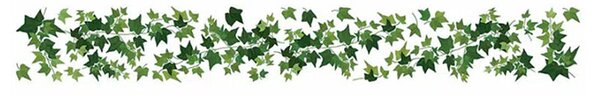 Αυτοκόλλητη Μπορντούρα Τοίχου Ango Ivy 53013