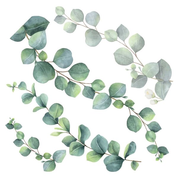 Αυτοκόλλητα Τοίχου Ango Eucalyptus 54120