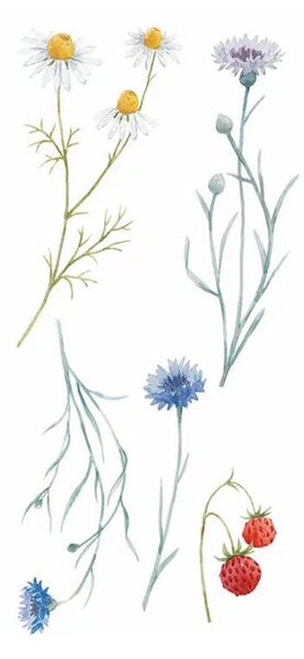 Αυτοκόλλητα Τοίχου Ango Field Flowers 59178