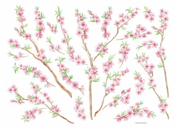 Αυτοκόλλητα Τοίχου Ango Peach Brance 44232