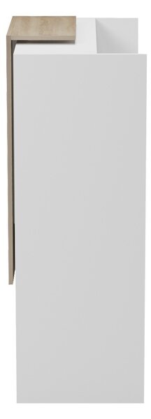 Γραφείο υποδοχής Zowel, Λευκό, 40x90x110 cm