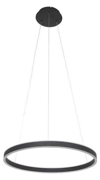 Steinhauer LED κρεμαστό φωτιστικό Ringlux Ø 60cm 2-φωτο μαύρο, ρυθμιζόμενος, Μαύρο, Σαλόνι / τραπεζαρία, Μέταλλο, σύγχρονο