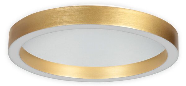Steinhauer LED φωτιστικό οροφής Ringlux χρυσό χρώμα, Ø 40 cm, μέταλλο, 2.700 K, ρυθμιζόμενος, Χρυσό / Ορείχαλκου, Σαλόνι / τραπεζαρία, Μέταλλο, σύγχρονο