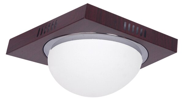 3081F Φ24 TECO COL/ION,NICKEL MAT-CHROME CEILING B3