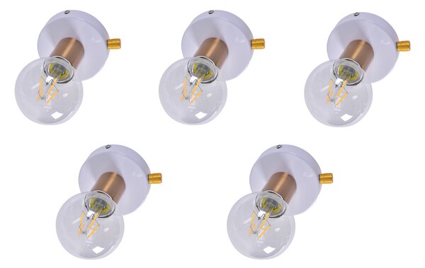 SE 138-WH (x5) Tolo Packet White and bronze light+