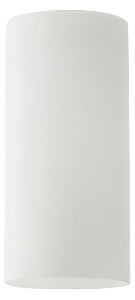 SE21-AC-W12 ADEPT WHITE GLASS B1